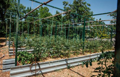 Holiday house with a parking space Gornji Prolozac, Zagora - 24024 - Foto 2