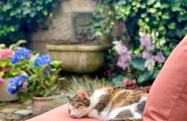 Cosy historic brewery with beautiful outdoor space - Foto 52