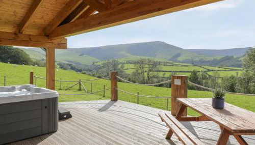 Bryn Eiddon Log Cabin - Photo 3