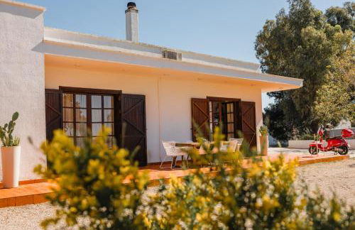 Gli Ulivi di Gino - Foto 27