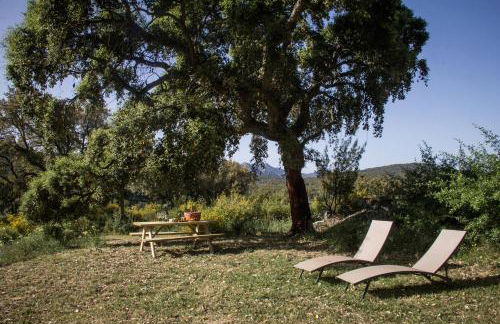 Tambor Del Llano - Foto 9