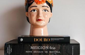 Refúgio do Barqueiro - Douro - Photo 15