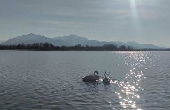 Achentaler Auszeit - Photo 8