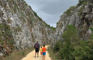 Villa Porto de Mós near Fatima - Foto 4