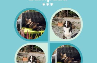 Domaine Pedra Llampada Gîtes Montagne - Photo 19