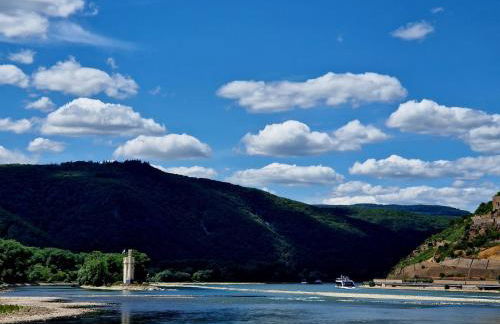 Ferienwohnung Rheinblick - Foto 15