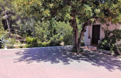 La Casa del bosque - Photo 36