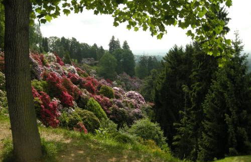 Alloggio Starteri - Foto 13