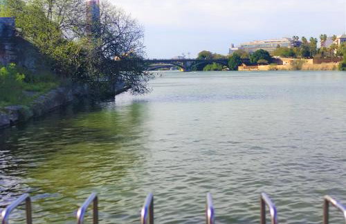 Vive Triana - Foto 30