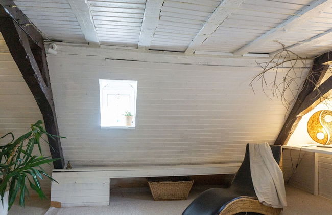 Country Life at the Pyrmonter Zehnthof - Foto 14