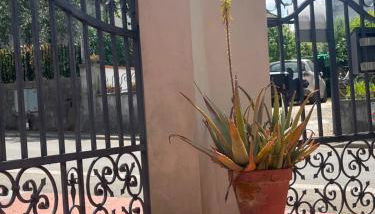 Casa Ceccanti - Foto 4