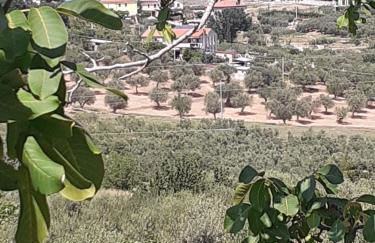 Il Giardino degli Ulivi - Foto 20