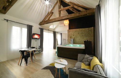 Eaudyssée maison avec SPA privée - Loiret - Photo 9