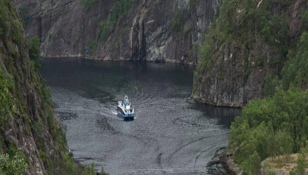 Bergen: Mostraumen Fjord Cruise - Photo 5