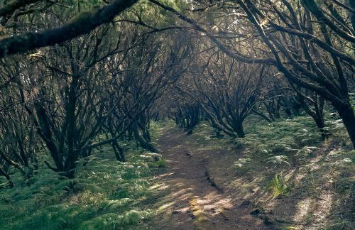 The Mountain View, By OP - Foto 41