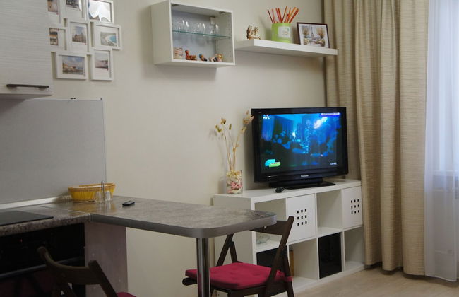 Hotel in Apartment Irkutsk - Photo 79