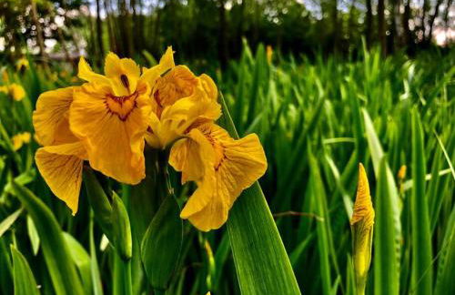 The BeeKeepers - Homely Luxurious Self Catering - Foto 52