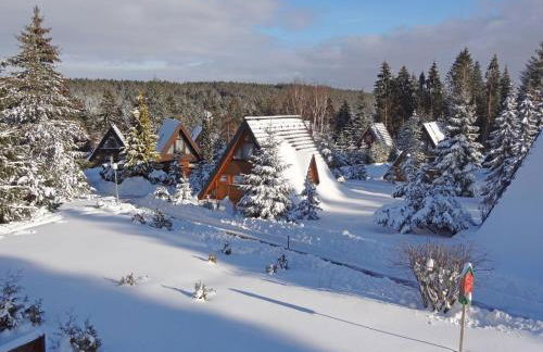 Holiday Home Tennenbronn-1 by Interhome - Foto 14