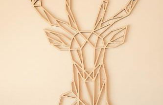 Chalet authentique - Au cœur des Quatre Lacs - Foto 16