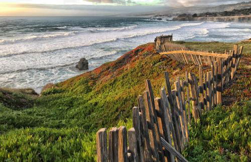 Sea Forever - Foto 6