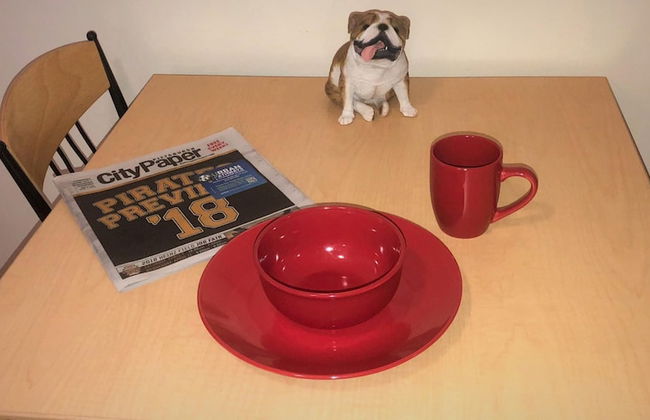 2 Bedroom Downtown Apt Friends Families Ideal - Foto 11