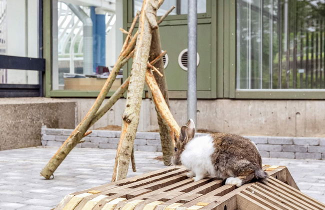 6 Person Holiday Home on a Holiday Park in Hanstholm - Foto 73