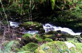 La Casa Rectoral de El Tozu - Foto 24