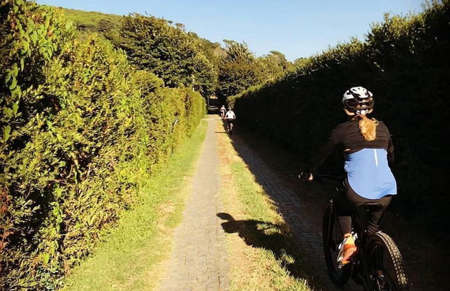 Villa Cavalletti - Foto 35