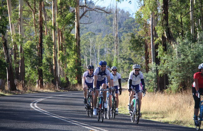 Marysville Garden Cottages - Photo 54