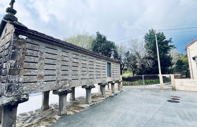 Lar de Canedo - Photo 42