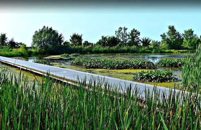 Cliffside Suite #3 - Seacliff Beach Suites - Foto 18