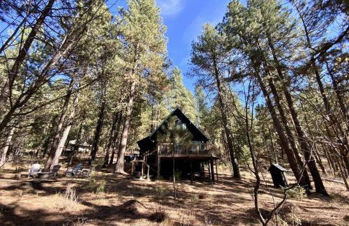 Mint Chip Cabin by Casago McCall - Donerightmanagement - Photo 18