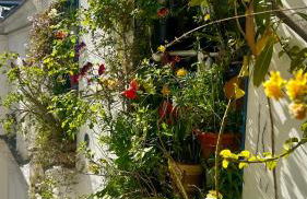 Marais Picasso - Appartement de 40 m2 - Foto 16