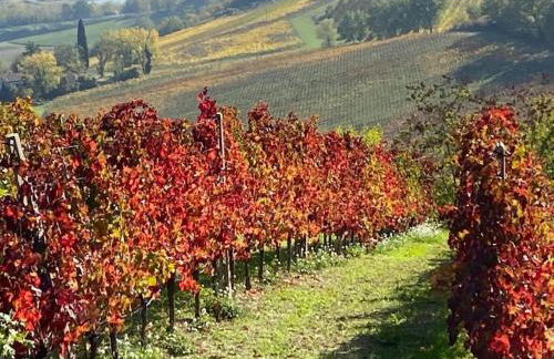 Sotto la luna Casa in campagna - Foto 30