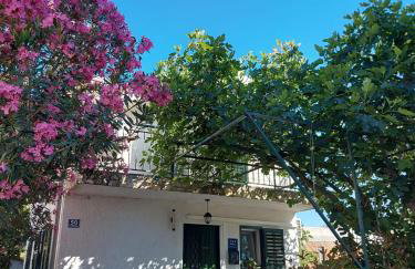 Apartman Alka - Foto 22