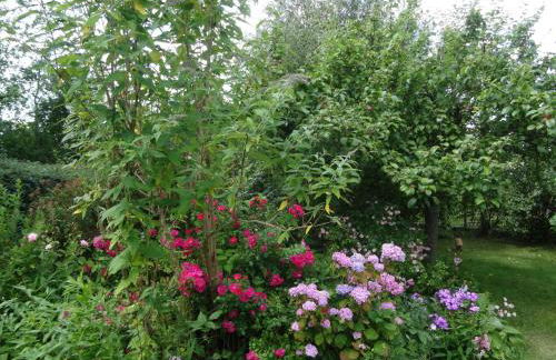 Luckow Georg Asmussen Haus - Foto 7