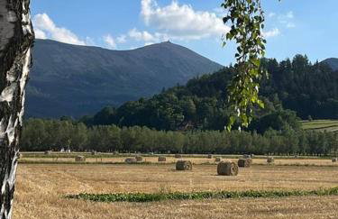 Domek w Karkonoszach - Foto 23