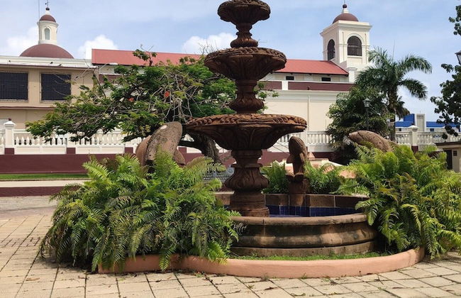 Beachfront Studios - Photo 45