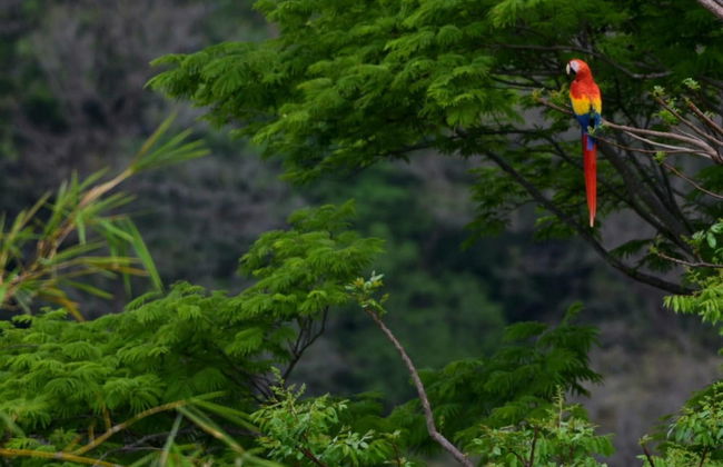 Sonidos del Agua in Quepos - Photo 11