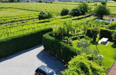 Agritur Girasole - Foto 29