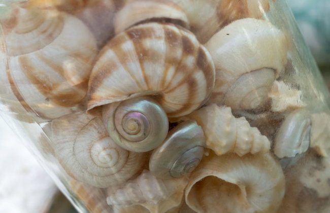 "Annamie" - 650m from the sea - Foto 11