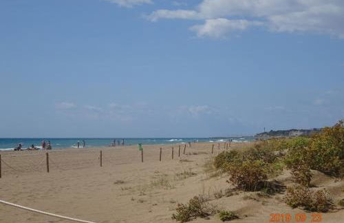 Mas Japimon - Foto 20