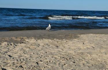 Achterwasser Blick - Foto 41