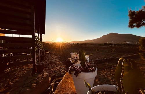 Erbania Heritage, naturally - Foto 26