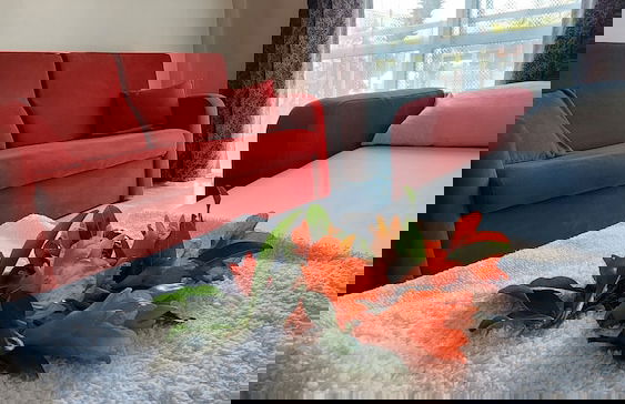 İREM APART - Foto 22