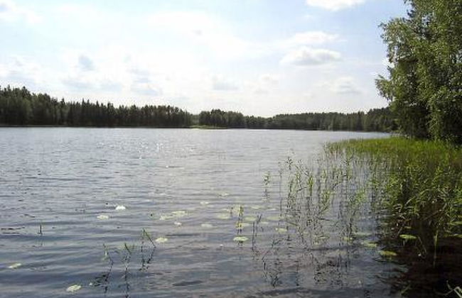 Villa helmi - Foto 9