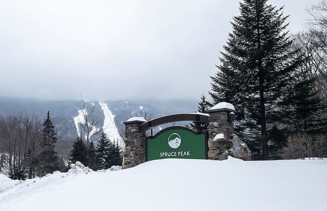 1230 Studio at The Lodge at Spruce Peak - Photo 11