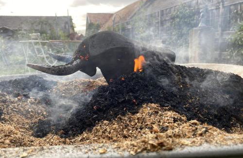 Kleiner Hof Vergissmeinnicht - Foto 34