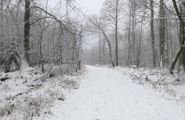 Bowkett Cottage - Foto 26