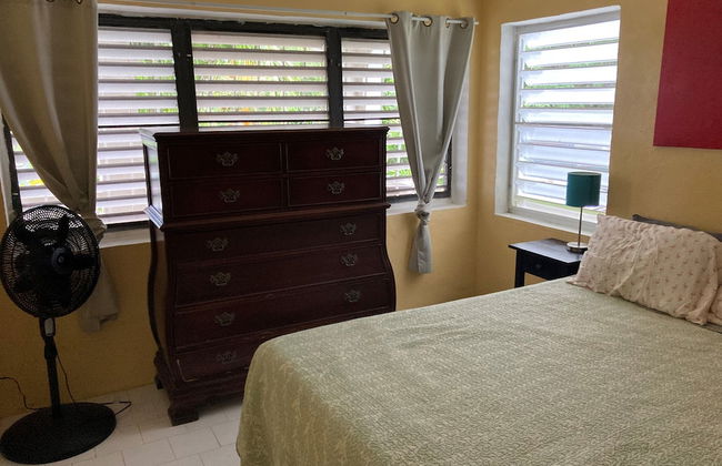 Bananaquit House - Foto 8